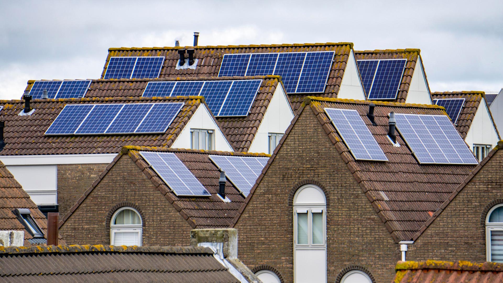 Auf Hausdächern in den Niederlanden sind Solarmodule auf Dächern zu sehen.