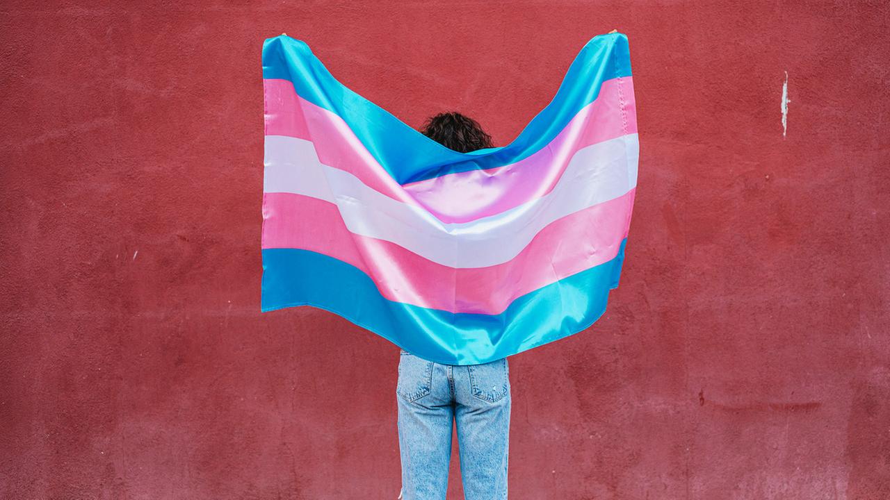 Eine Person hält eine Transgenderflagge.