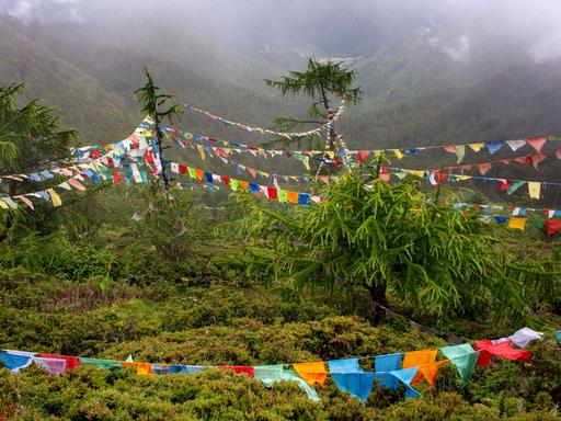 Bunte buddhistische Gebetsfahnen hängen zwischen Bäumen im Himalaya-Gebirge in Bhutan.