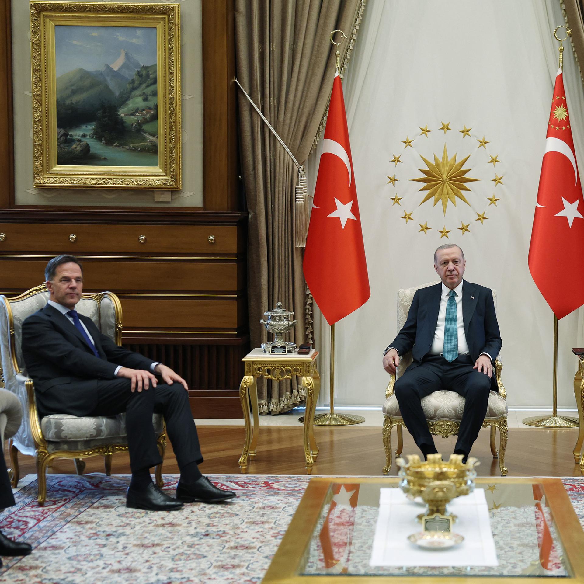 Türkei - Legitimiert der NATO-Gipfel Erdogans Autokratie? episode artwork