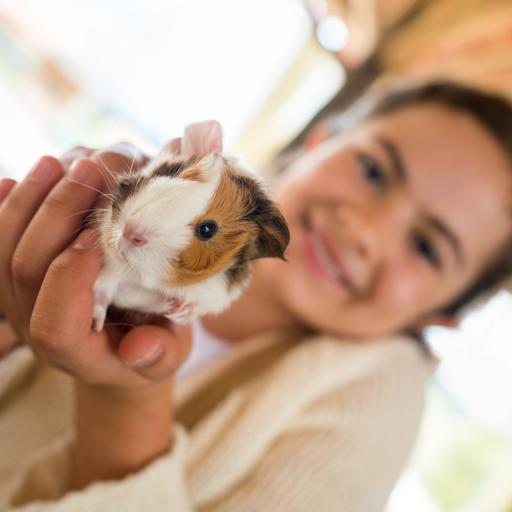 Ein lächelndes Mädchen hält ein Meerschweinchen in die Kamera