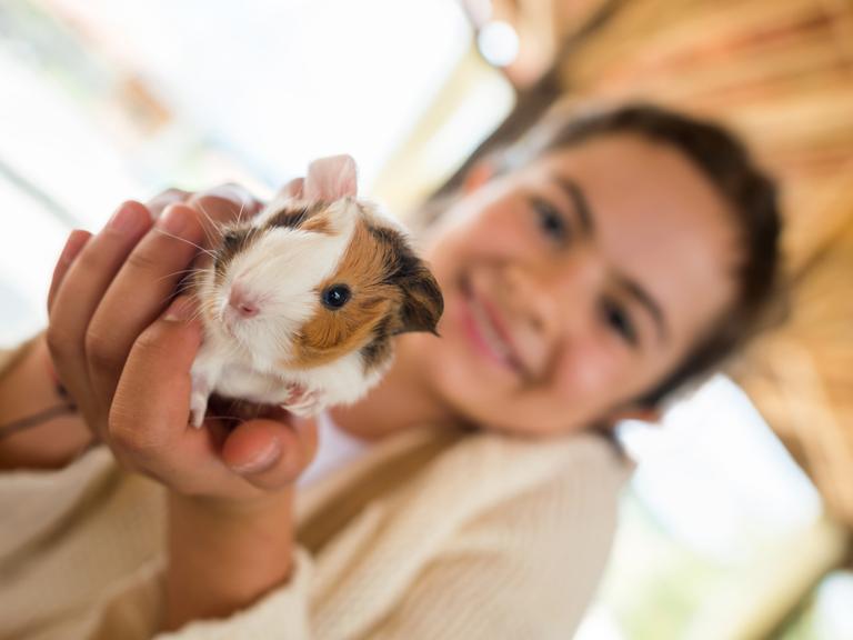Ein lächelndes Mädchen hält ein Meerschweinchen in die Kamera