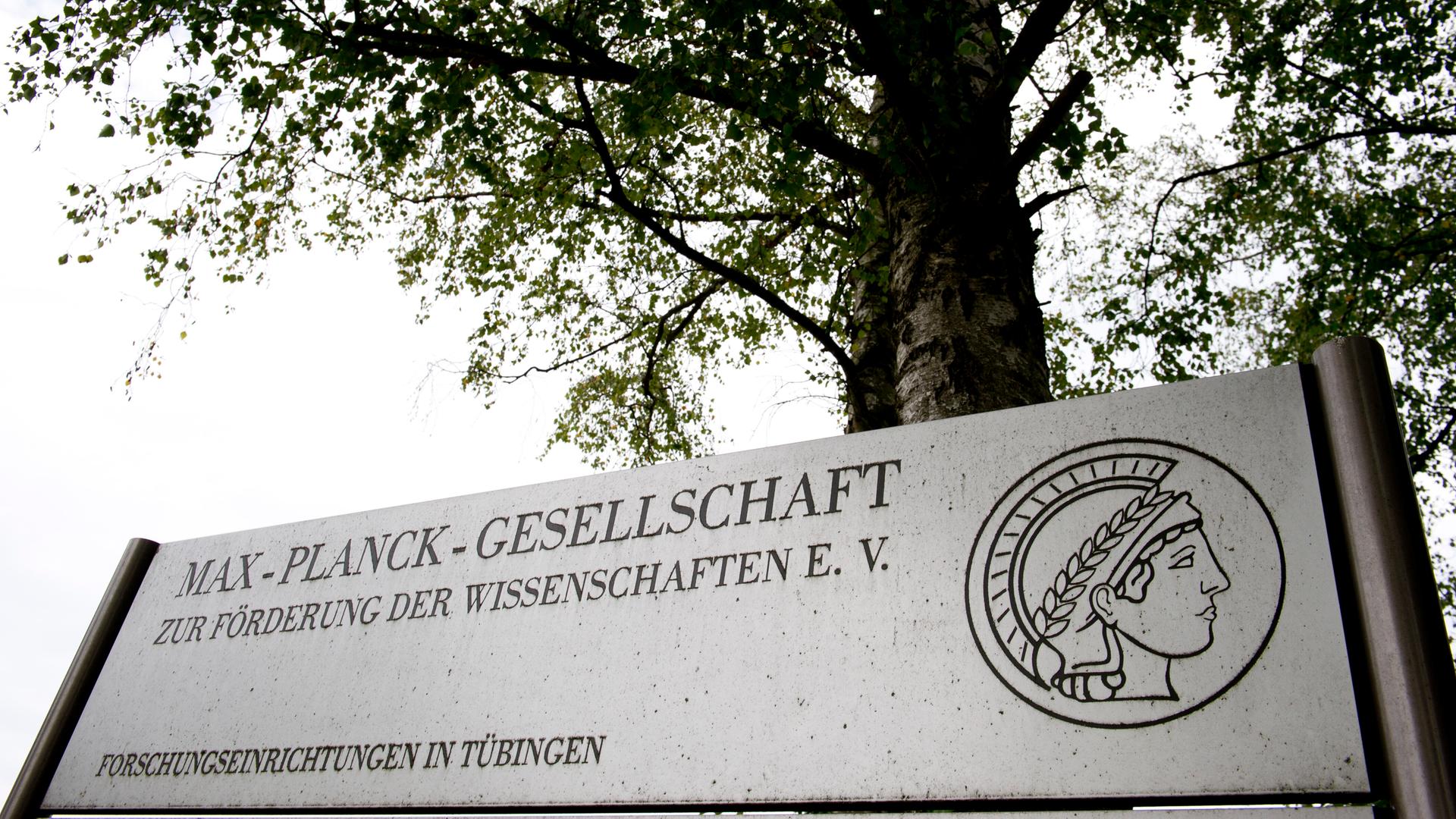 Eine Tafel mit der Aufschrift "Max-Planck-Gesellschaft - zur Förderung der Wissenschaft" steht vor einem Baum. 