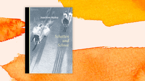 Cover des Buchs "Schatten und Schnee" von Joachim Kalka. Es zeigt schattenhafte Skiläufer, die einen Hang herunterfahren.