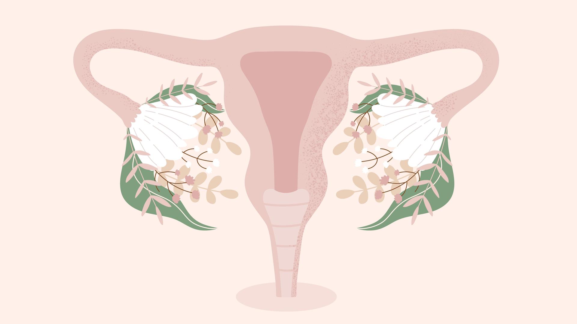 Illustration der weiblichen Uterus mit blühenden Blumen statt Eierstöcken.