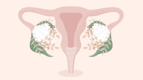 Illustration der weiblichen Uterus mit blühenden Blumen statt Eierstöcken.