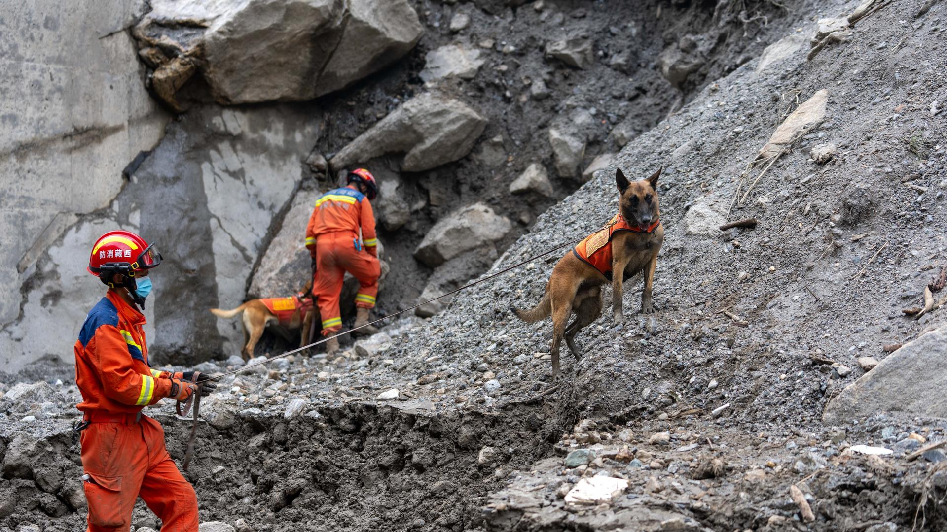 Rettungskräfte mit Hunden suchen einen Geröllberg ab.