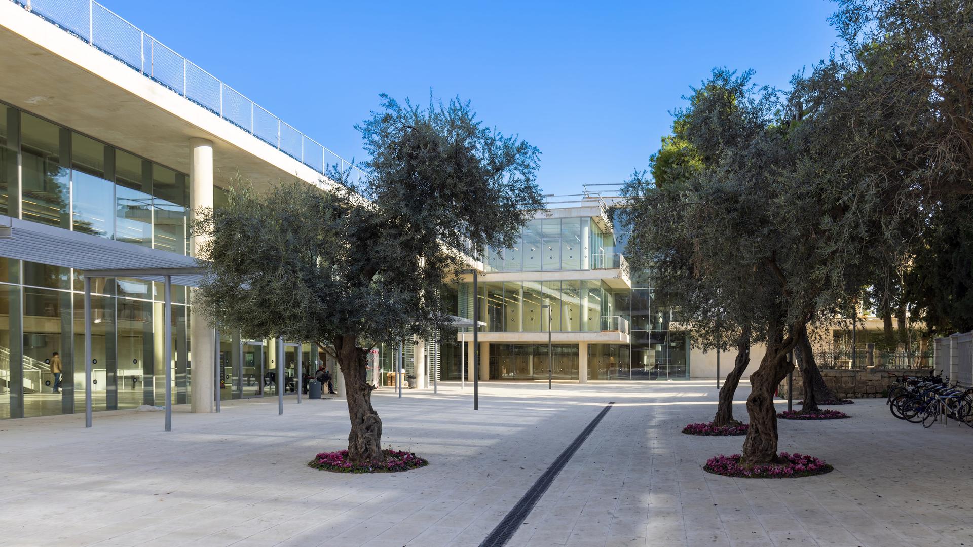 Blick in den Innenhof der Bezalel Academy of Art and Design in Jerusalem. Der Hof ist umrandet von modernen gläsernen Gebäuden, in der Mitte stehen Olivenbäume.