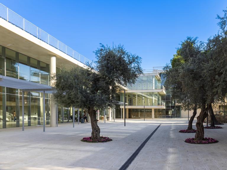 Blick in den Innenhof der Bezalel Academy of Art and Design in Jerusalem. Der Hof ist umrandet von modernen gläsernen Gebäuden, in der Mitte stehen Olivenbäume.