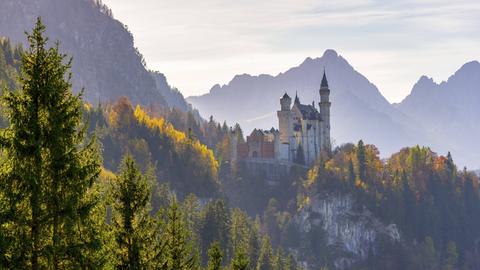 Schloss Neuschwanstein umgeben von buntem Herbstlaub und majestätischen Alpen