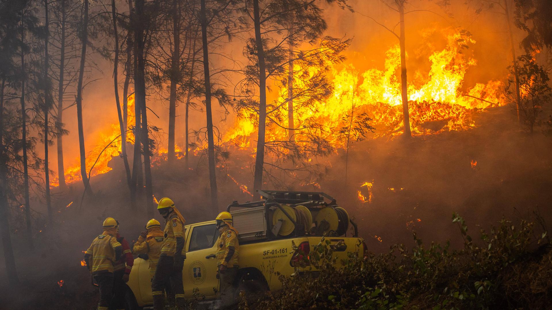 Feuerwehrleute bekämpfen im September 2024 einen Waldbrand in Portugal.