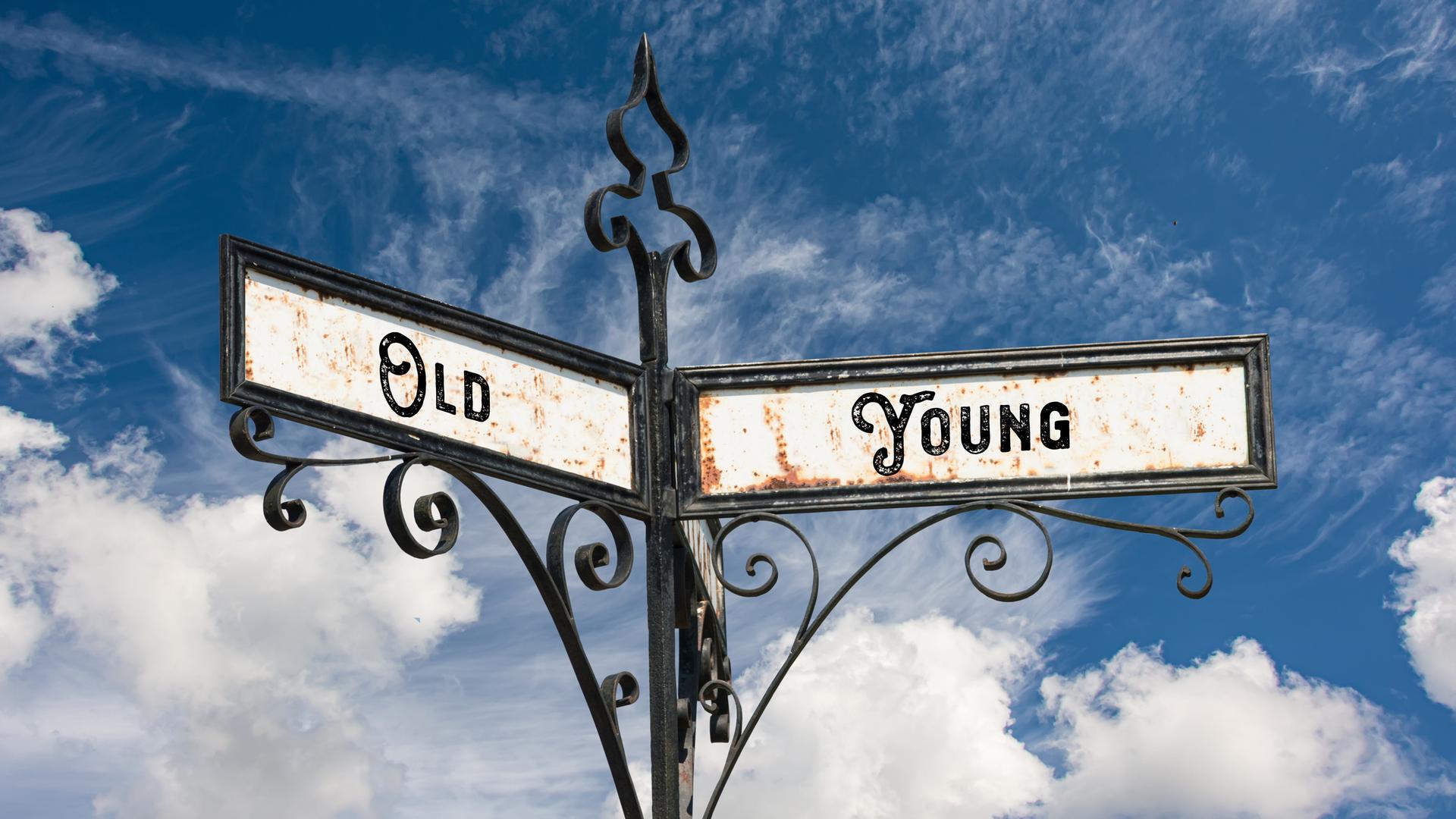 Street Sign the Direction Way to Young versus Old Model Released Property Released xkwx New old young used fresh shield signpost street sign mint used car buy flea market antique novel time tested proven innovations good receive maintained rarity antique vs direction sign versus