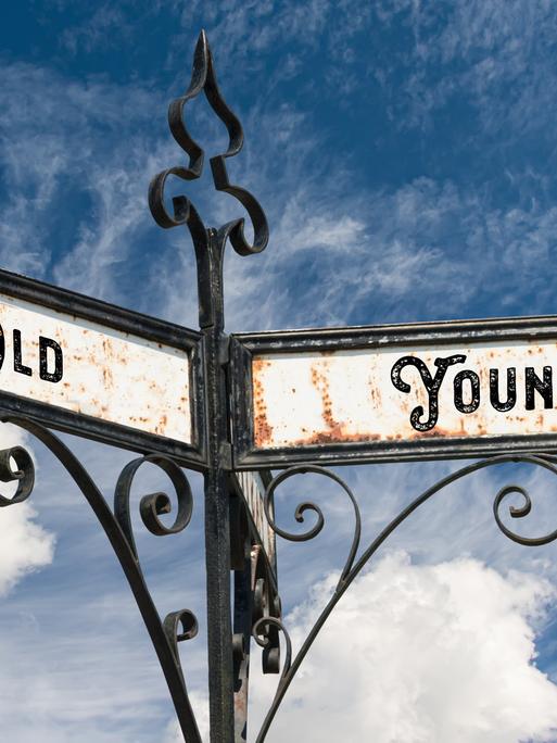 Street Sign the Direction Way to Young versus Old Model Released Property Released xkwx New old young used fresh shield signpost street sign mint used car buy flea market antique novel time tested proven innovations good receive maintained rarity antique vs direction sign versus