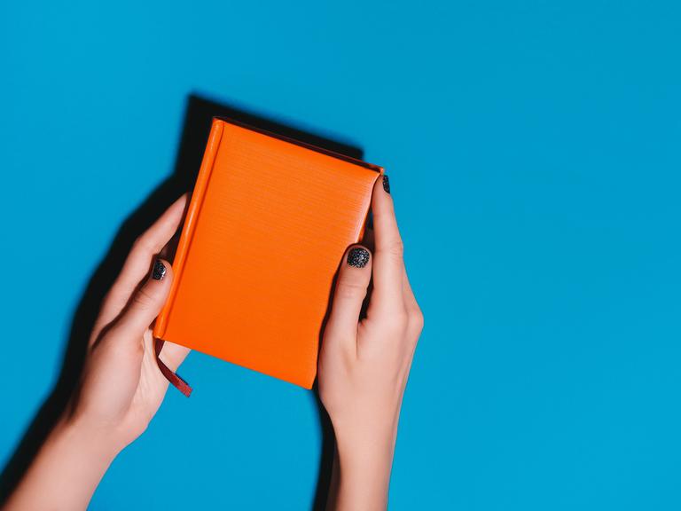 Eine Person mit dunkel lackierten Fingernägeln hält ein orangenes Tagebuch über blauem Hintergrund.