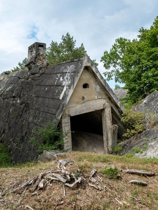 Betonreste einer Bunkeranlage ragen auf einer Waldlichtung aus dem Boden.