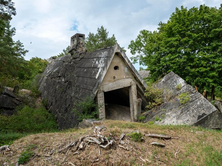 Betonreste einer Bunkeranlage ragen auf einer Waldlichtung aus dem Boden.