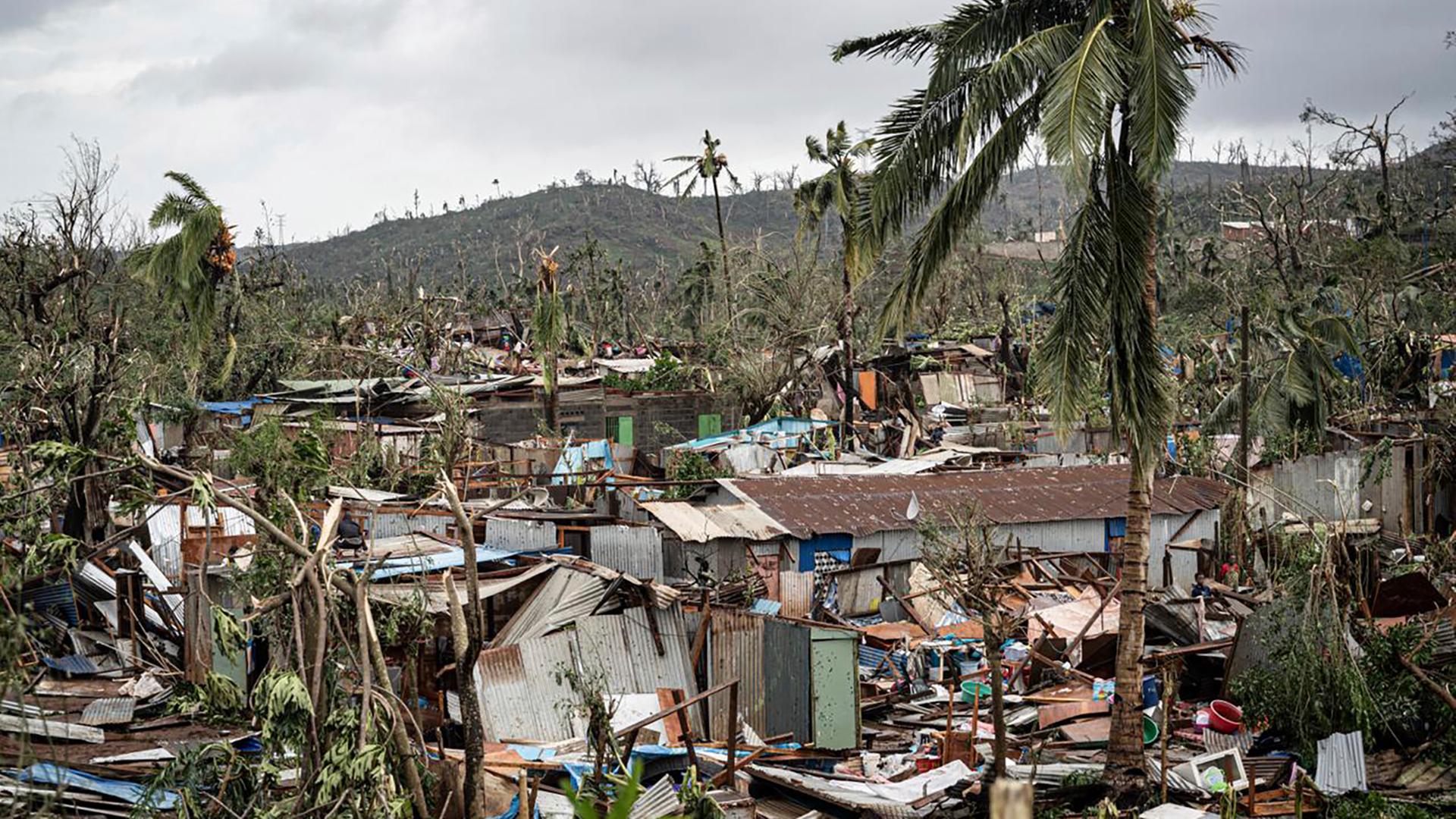 Mayotte nach dem Zyklon Chido: Verwüstete Wellblechhütte und umgeknickte Palmen.