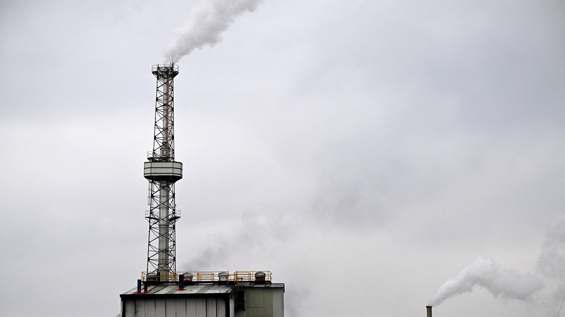 Smoke rises from the chimneys of Clarimex company dedicated to the production of activated carbon in Tula de Allende, Hidalgo state, Mexico on July 24, 2024.