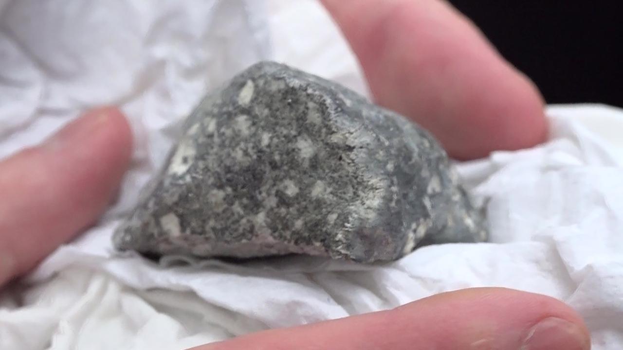 Ein Meteoritenteil liegt in einem Papiertaschentuch: Es ist ein mittelgrauer Stein mit helleren, grauen Flecken.