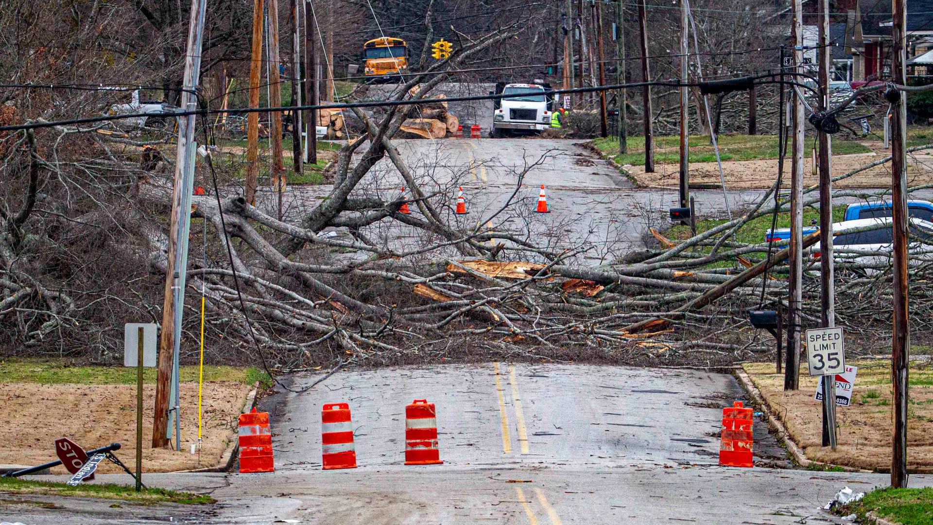 USA, Tuscumbia: Umgestürzte Bäume bedecken die Fahrbahn in Richtung South Jefferson Street nach einem Unwetter.