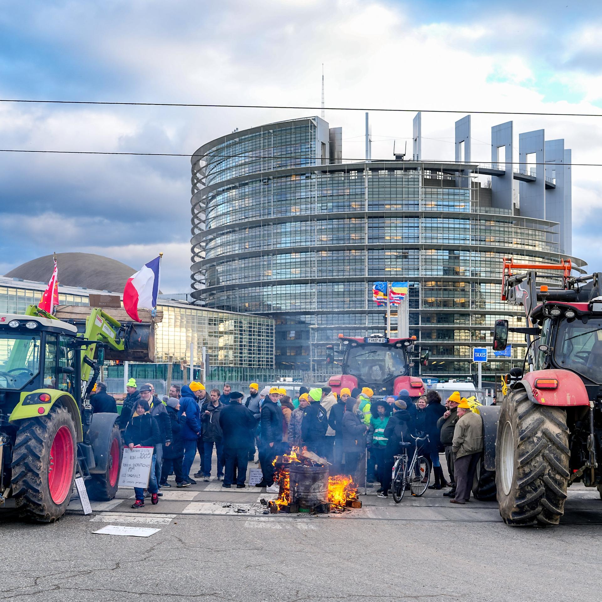 EU-Agrarpolitik - Im Dickicht der Bürokratie