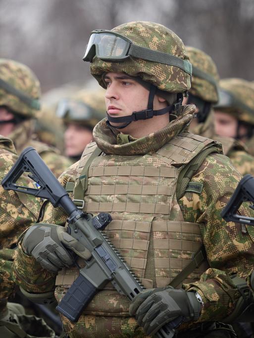 Ukrainische Soldaten in Uniform mit Waffen, in Reih und Glied. 