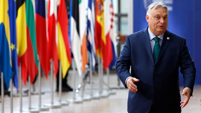 Ungarns Premierminister Viktor Orban neben Fahnen europäischer Länder