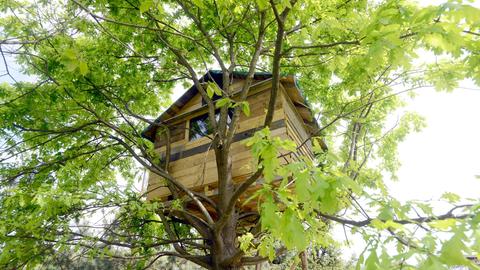 Zu sehen ist ein Baumhaus. 