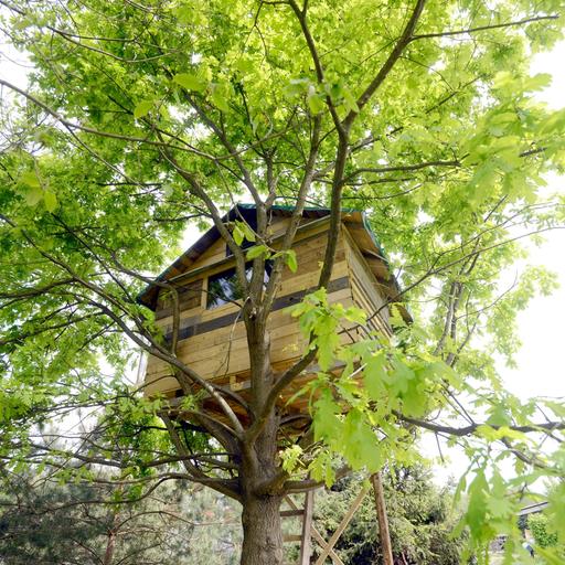 Zu sehen ist ein Baumhaus. 