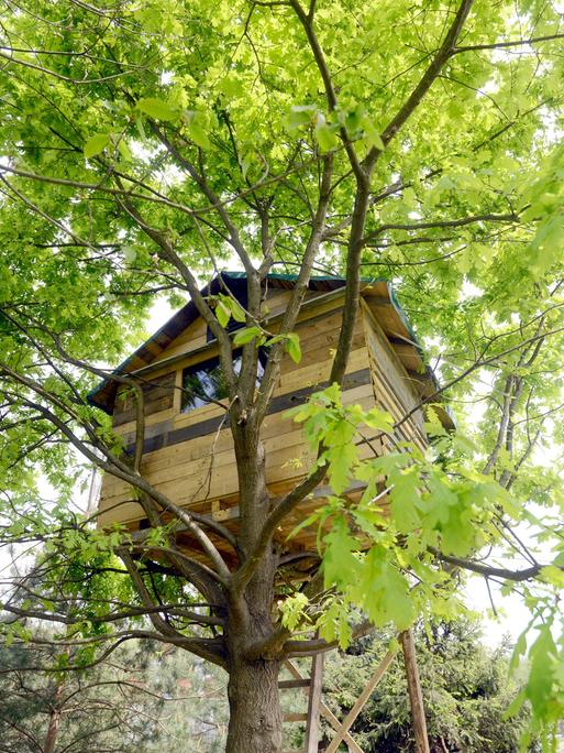Zu sehen ist ein Baumhaus. 