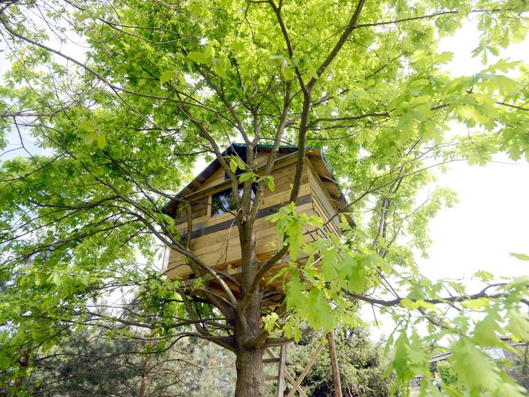 Zu sehen ist ein Baumhaus. 