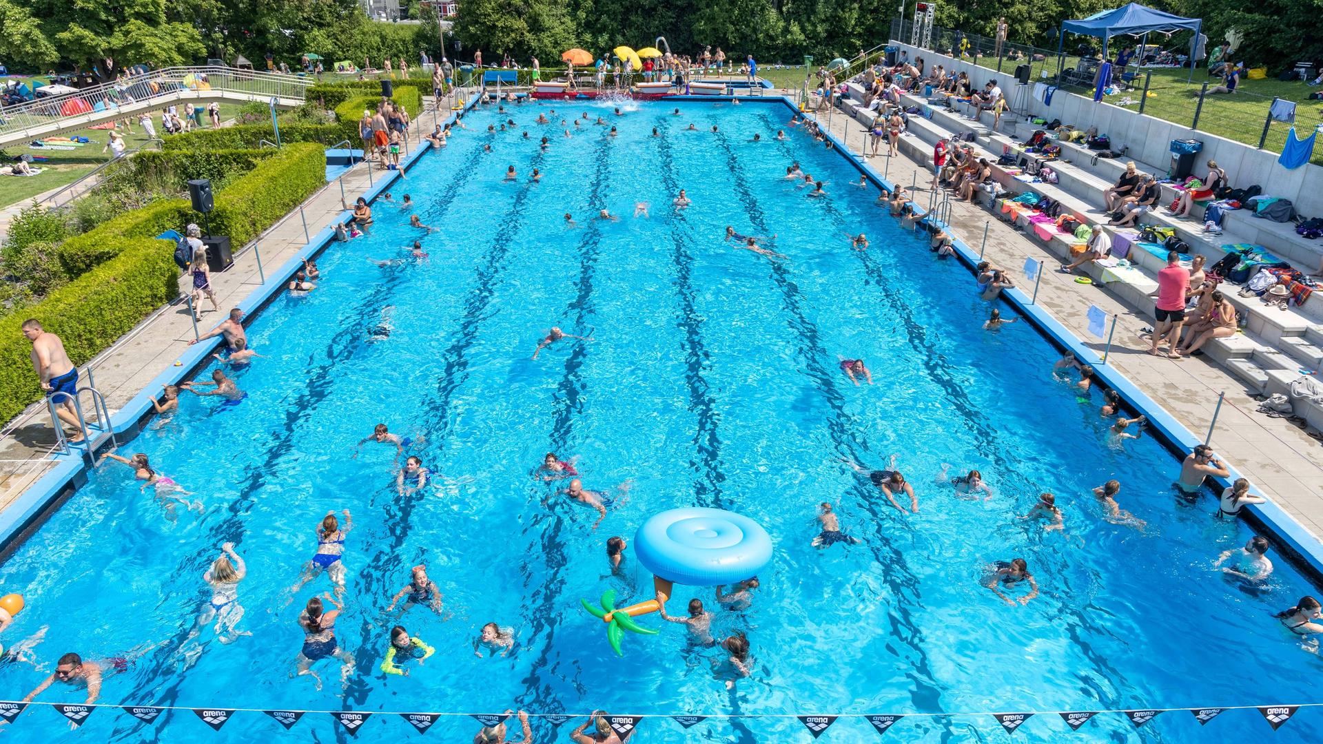 Viele Schwimmer in einem rechteckigen Freibad