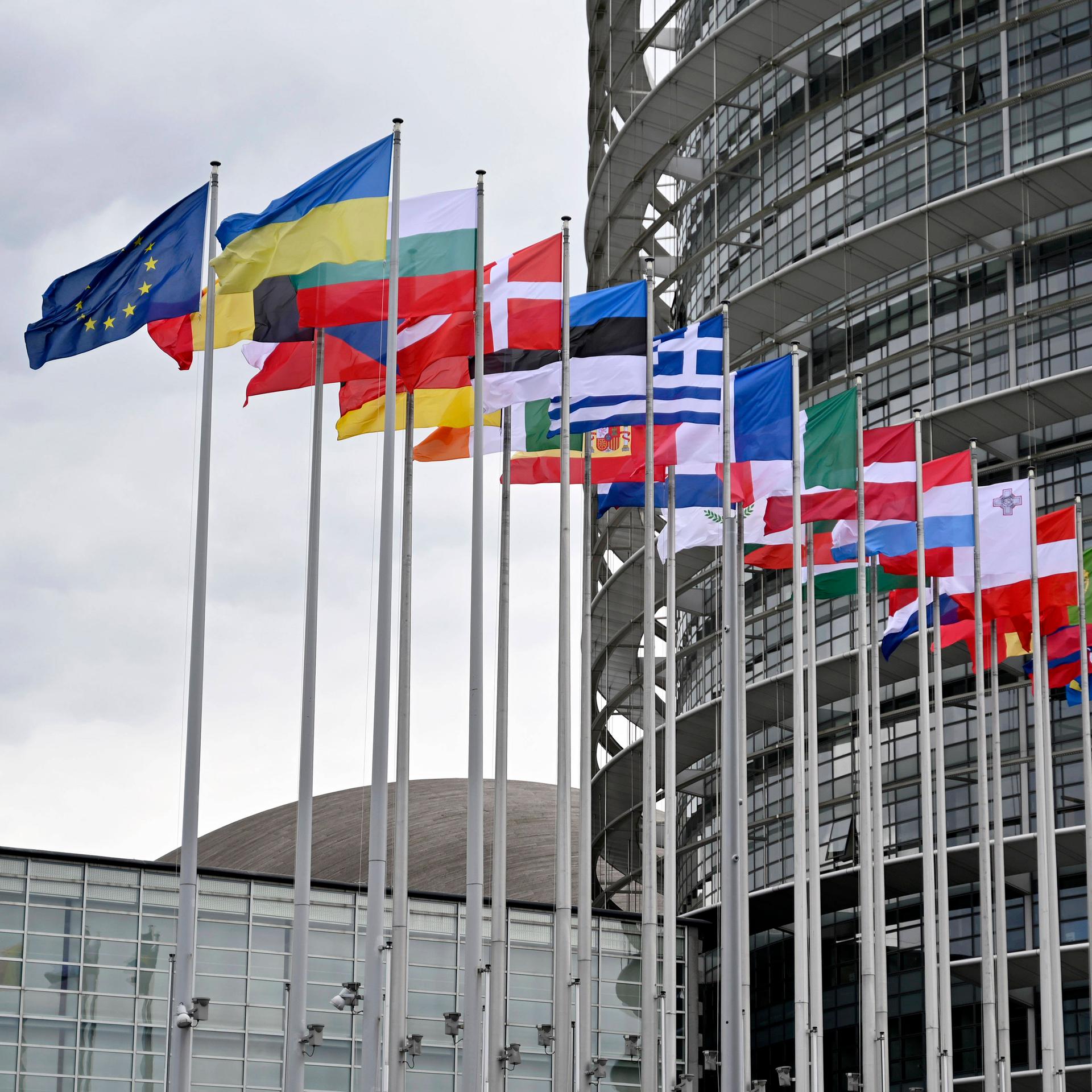Flaggen der EU-Staaten und der Ukraine sowie die EU-Flagge wehen vor dem EU-Parlament in Straßburg. 