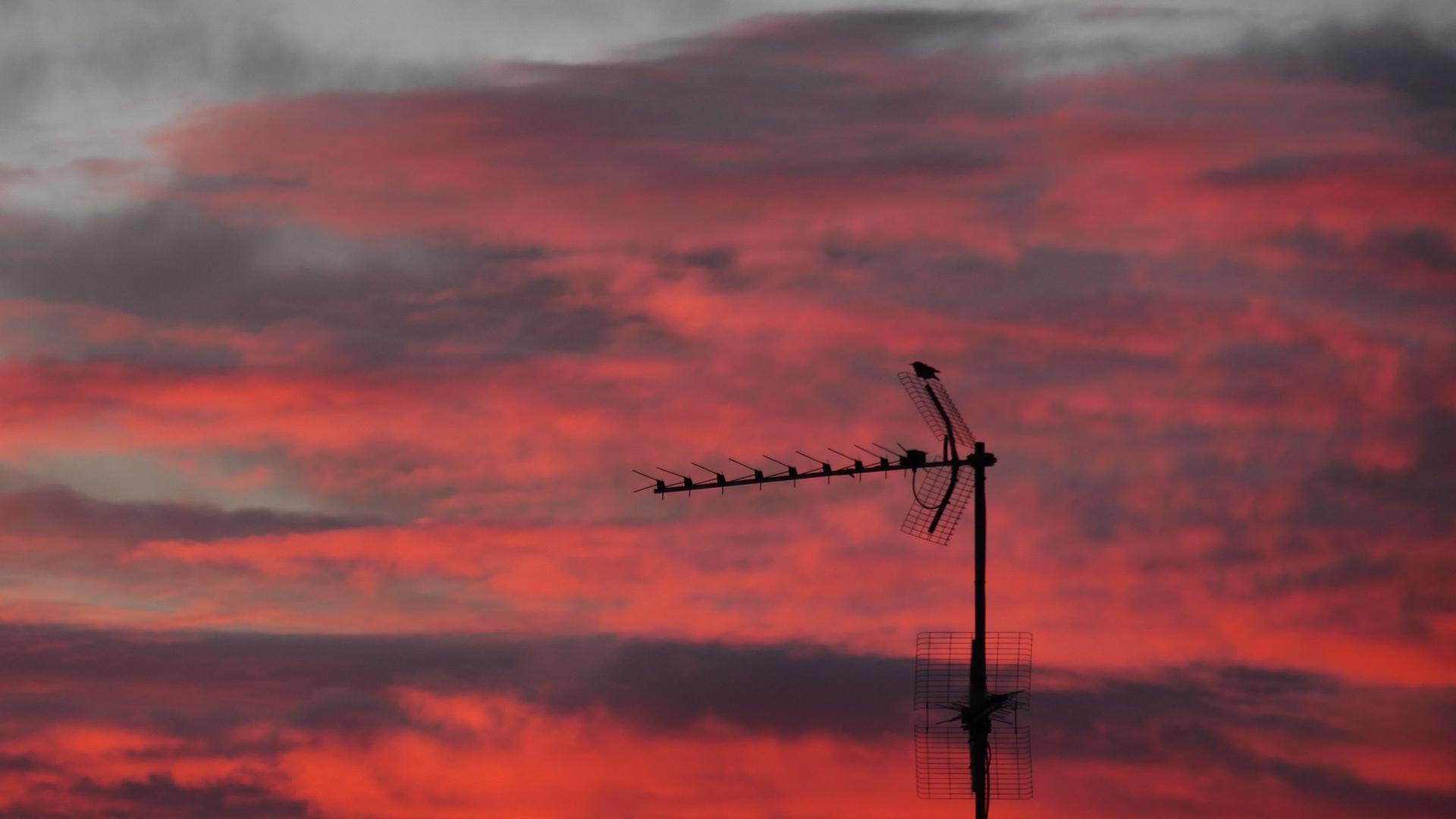 Blick auf einen rot flammenden Abendhimmel, auf dem sich eine schwarze Antenne abzeichnet. Blick auf einen rot flammenden Abendhimmel, auf dem sich eine schwarze Antenne abzeichnet.