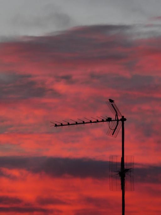 Blick auf einen rot flammenden Abendhimmel, auf dem sich eine schwarze Antenne abzeichnet.