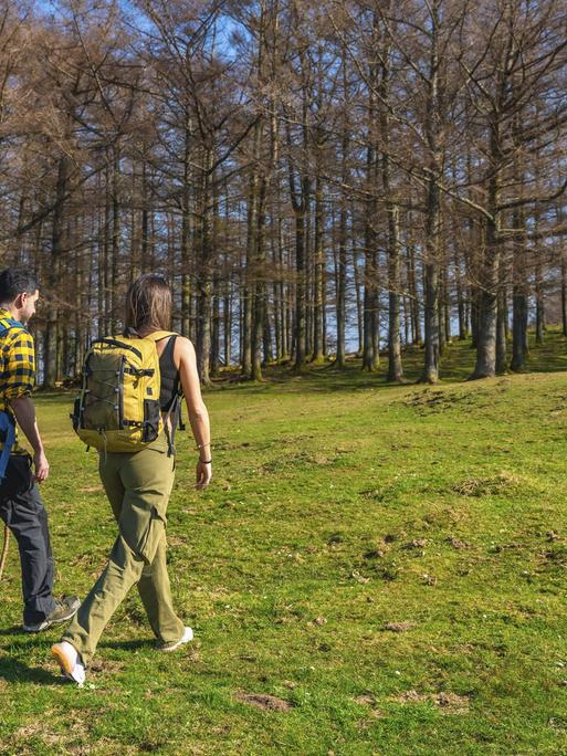 Wanderer mit Rucksäcken, die durch eine saftig grüne Wiese am Rande eines lebendigen Waldes spazieren 