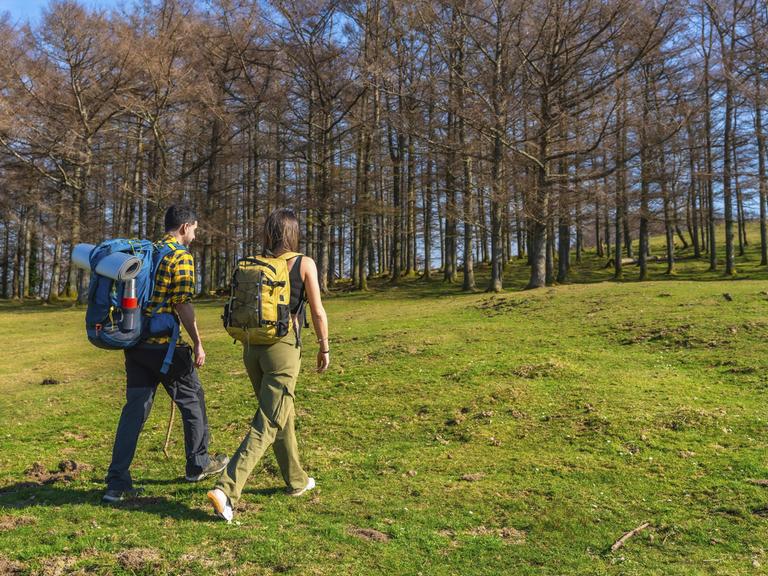 Wanderer mit Rucksäcken, die durch eine saftig grüne Wiese am Rande eines lebendigen Waldes spazieren 