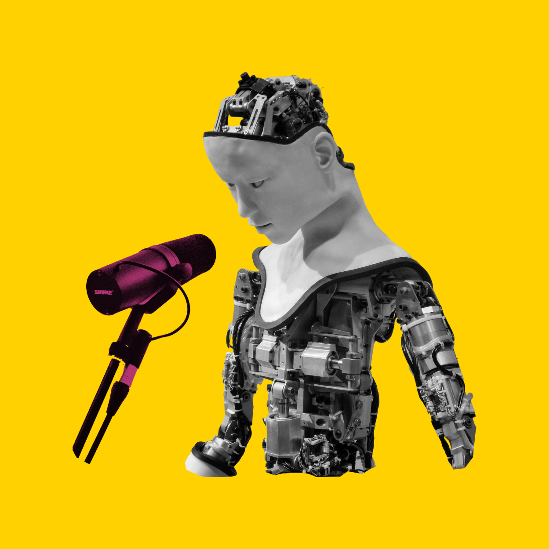 Künstliche Intelligenz - Anna-Sophia, die menschliche Stimme episode artwork