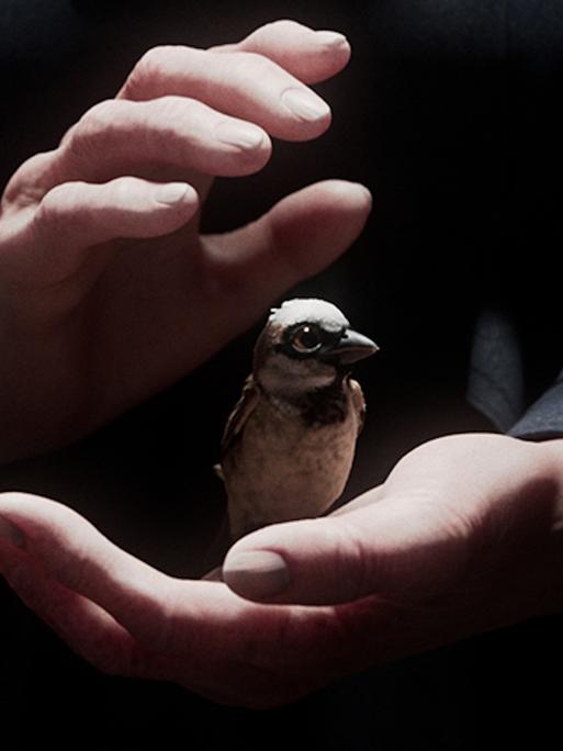 Szene aus dem Kurzfilm "A Sparrow's Song": Zwei Hände halten einen Spatz