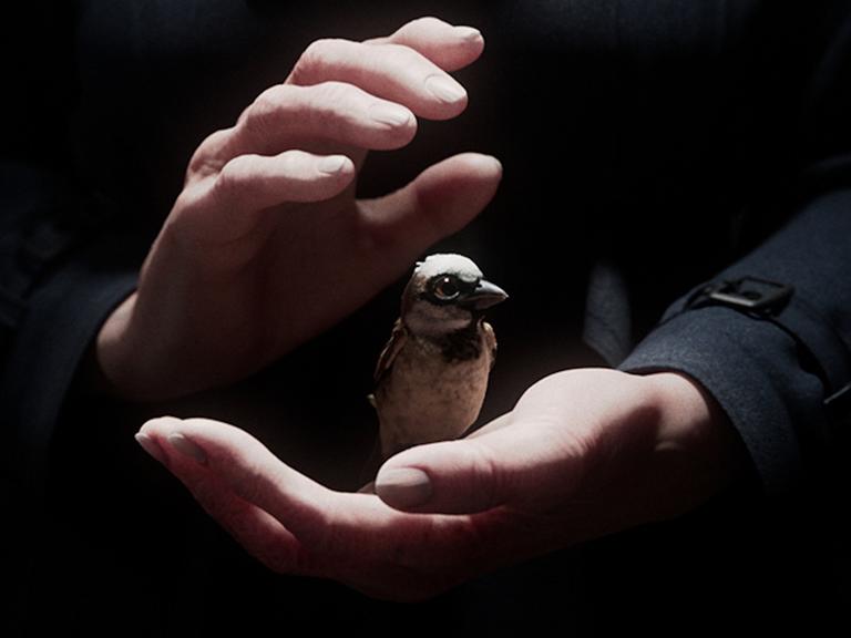 Szene aus dem Kurzfilm "A Sparrow's Song": Zwei Hände halten einen Spatz