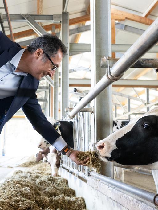 Landwirtschaftsminister Özdemir füttert eine Kuh.