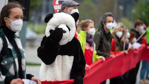 Ein als Panda verkleideter Umweltaktivist steht bei einer Demonstration für mehr Klimaschutz vor dem Bundeskanzleramt in einer Menschenkette.