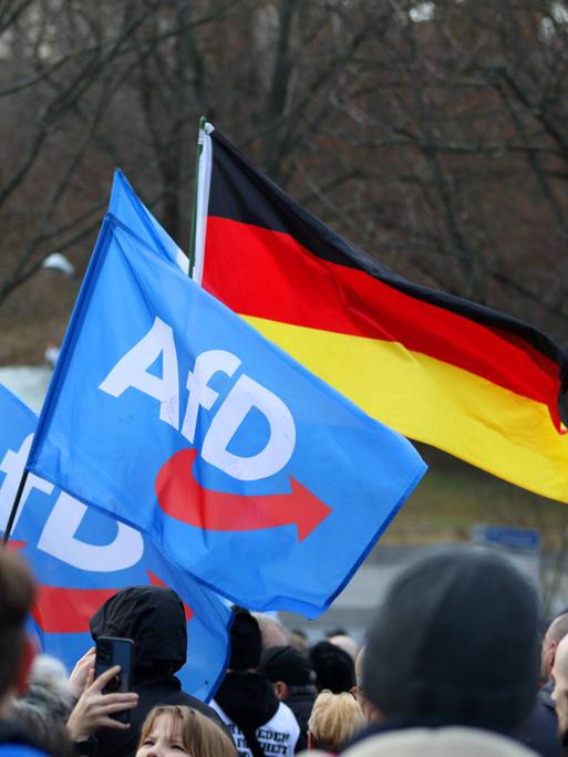 Anhänger mit AfD-Fahnen und Deutschlandflaggen vor der Haupbühne der AfD-Abschlusskundgebung zur Bundestagswahl im Februar 2025 auf dem Erfurter Domplatz.