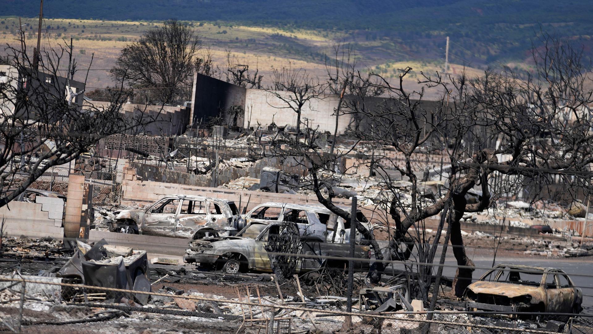 USA, Lahaina: Ausgebrannte Häuser und Autos.