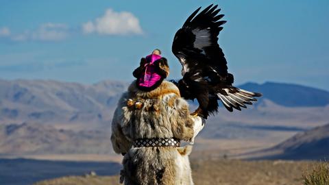 Ein Mensch mit Pelzmantel und traditioneller bunter Mütze in der Mongolei, einen Adler mit gespreizten Flügeln auf dem Arm sitzend.