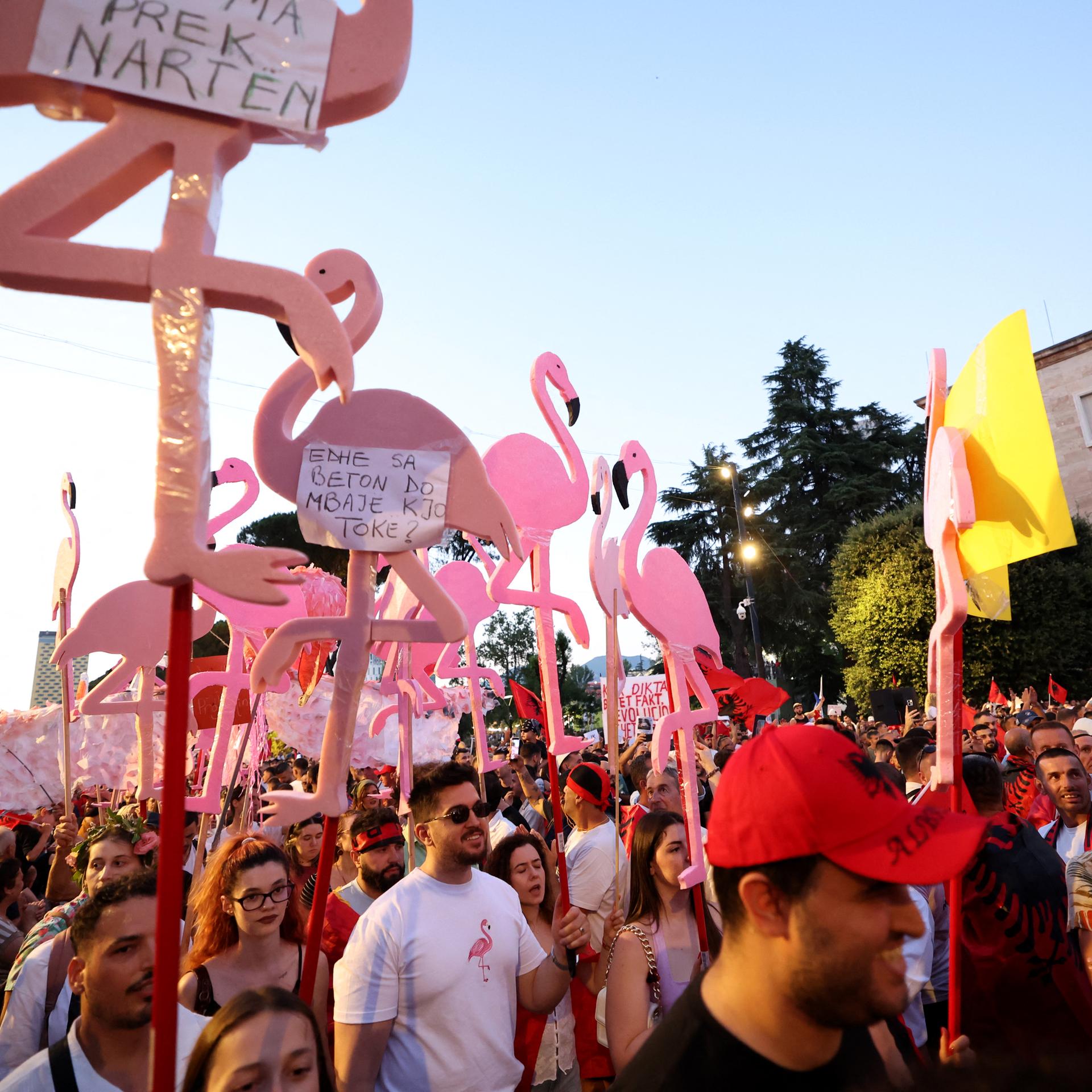 Proteste in Albanien - Kushners Luxushotel und die Flamingo-Revolution