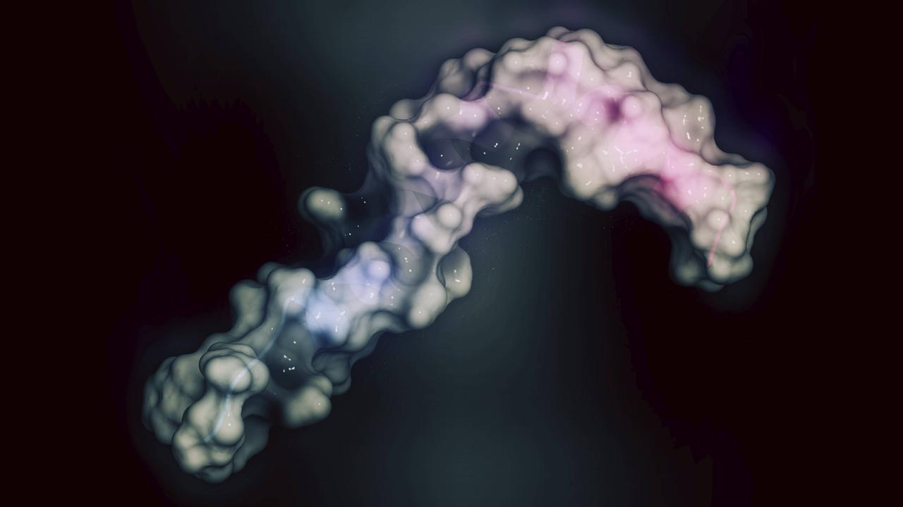 3D-Modell eines Amyloid-beta Moleküls - Hauptbestandteil der Plaques bei der Alzheimer-Erkrankung. 
