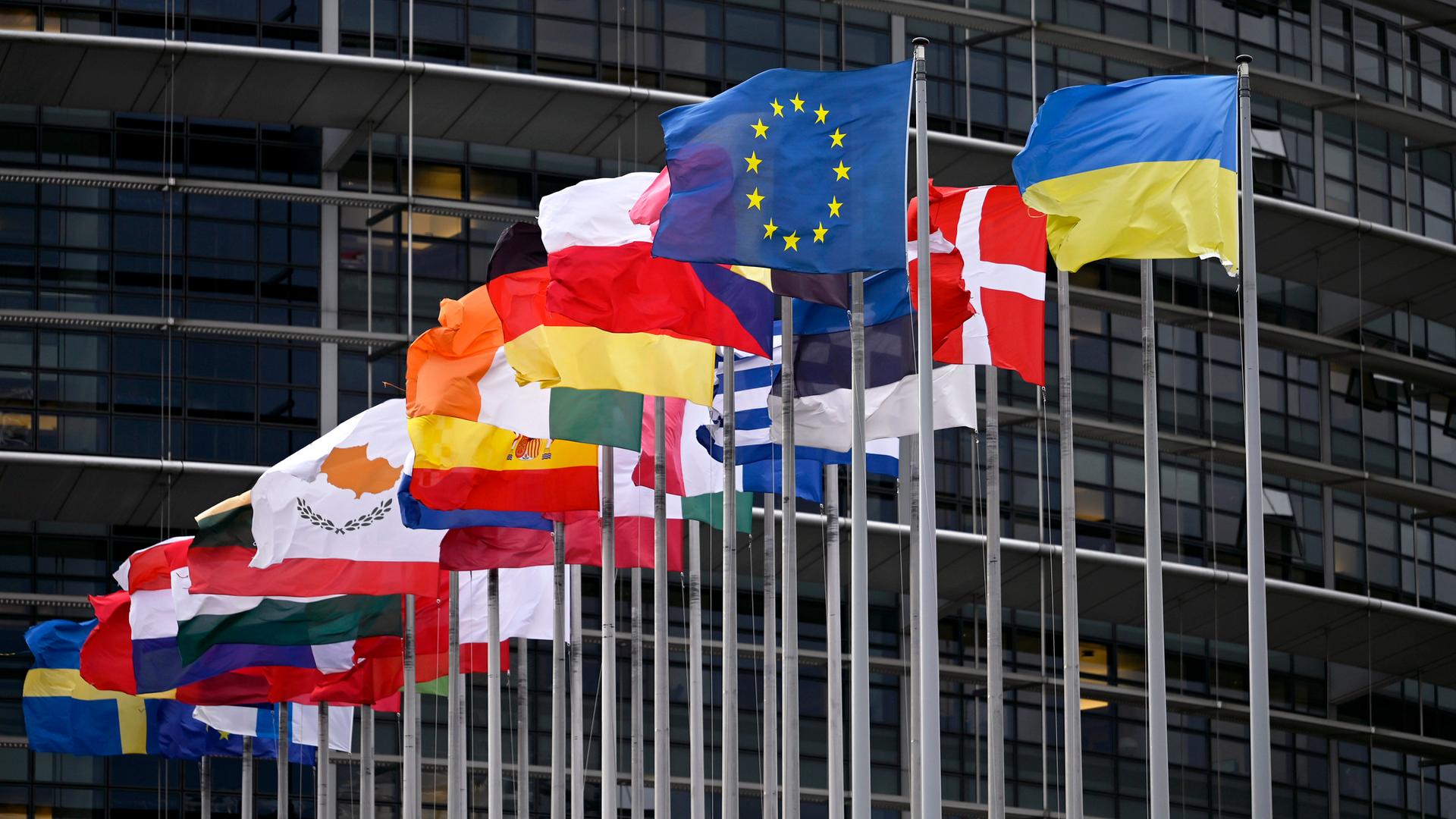 Die EU-Flagge und Flaggen der Mitgliedsstaaten wehen vor dem EU-Parlament in Straßburg.