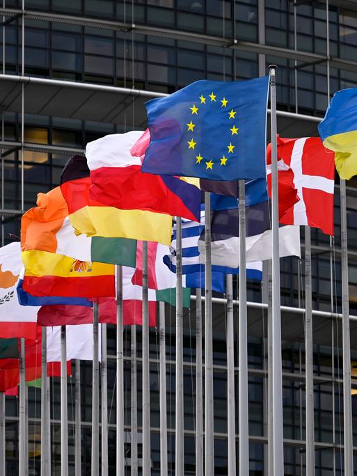 Die EU-Flagge und Flaggen der Mitgliedsstaaten wehen vor dem EU-Parlament in Straßburg.