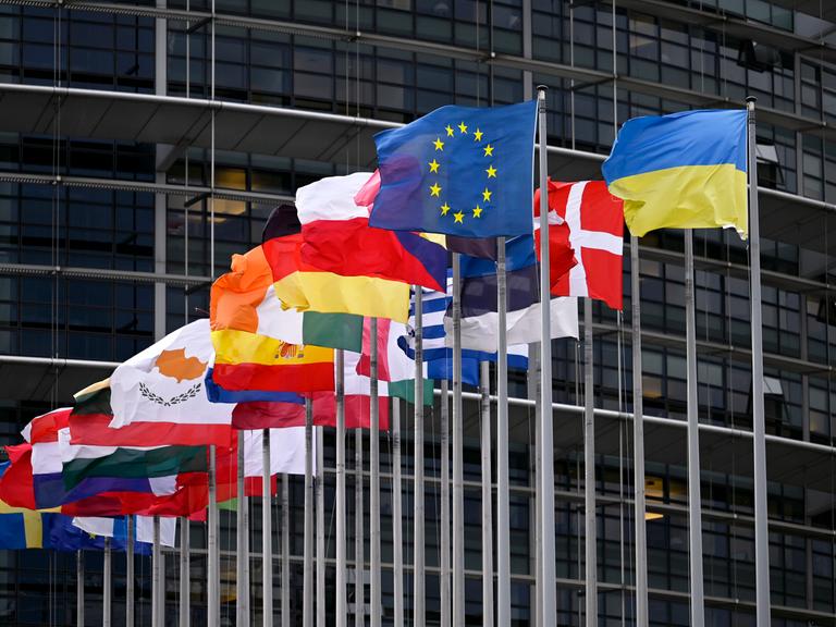 Die EU-Flagge und Flaggen der Mitgliedsstaaten wehen vor dem EU-Parlament in Straßburg.